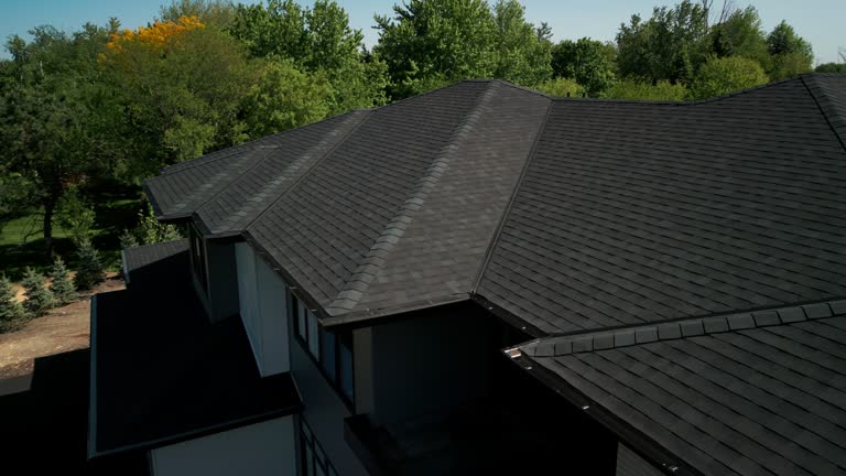 Best Steel Roofing  in Wyandotte, MI