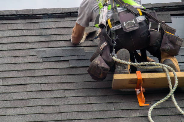 Best Chimney Flashing Repair  in Wyandotte, MI