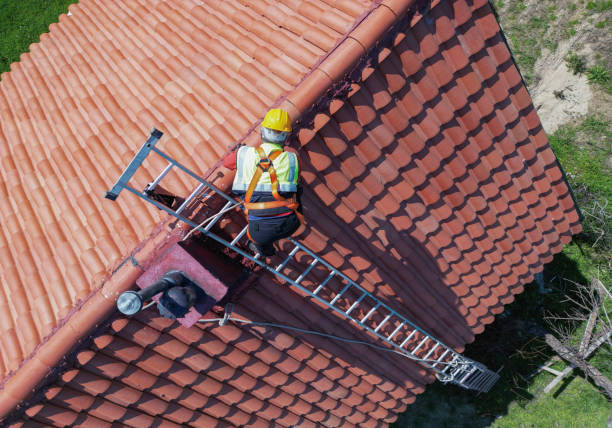 Best Emergency Roof Repair Services  in Wyandotte, MI
