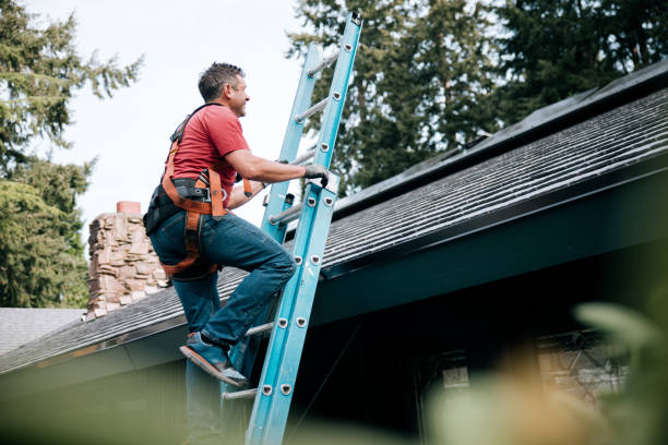 Best Hot Roofs  in Wyandotte, MI