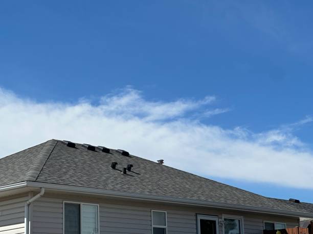 Fast & Reliable Emergency Roof Repairs in Wyandotte, MI