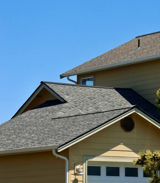Best Roof Maintenance and Cleaning  in Wyandotte, MI